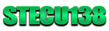 Logo Stecu138